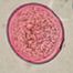 This plant belongs to the grass family. All pollen grains in this family are similar to the Poaceae (grass) grain pictured here.